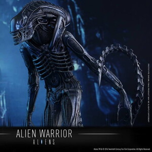 Alien Warrior Sixth Scale Figure MMS354