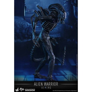  Alien Warrior Sixth Scale Figure MMS354