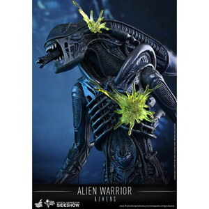  Alien Warrior Sixth Scale Figure MMS354