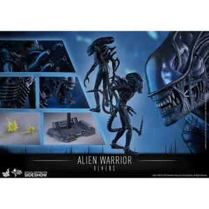  Alien Warrior Sixth Scale Figure MMS354